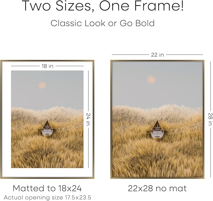 Homeforia 22x28 Picture Frame Bronze, High End Metal 22 x 28 Large Poster Frames with Mat 18 by 24 Photo, 22x28 Brass Frame Matted to 18x24 Print, 28x22 Thin Frames, Tempered Glass, Wall Kit, Set of 2