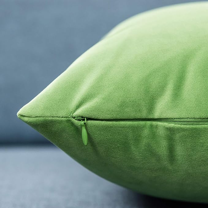 JUSPURBET Decorative Pillow Covers Set of 2 22x22 Velvet Throw Pillow Covers for Couch Sofa Bed Soft Cushion Covers Cases with Hidden Zipper for Living Room Home Decor,Apple Green