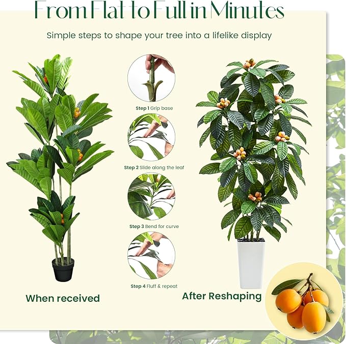 Artificial Loquat Tree：6FT Realistic Tropical Fruit Plants Fake Large Tall Tree Silk Floor Plants in White Pot with Golden Loquat Fruit for Home Decor Indoor Outdoor Room Patio Entryway Garden