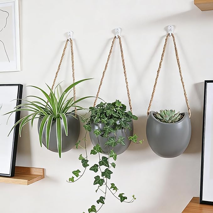 Set of 3 Ceramic Wall Planters with Hooks, Hanging Planter for Greenery and Dried Flowers, Home & Office Wall Decor