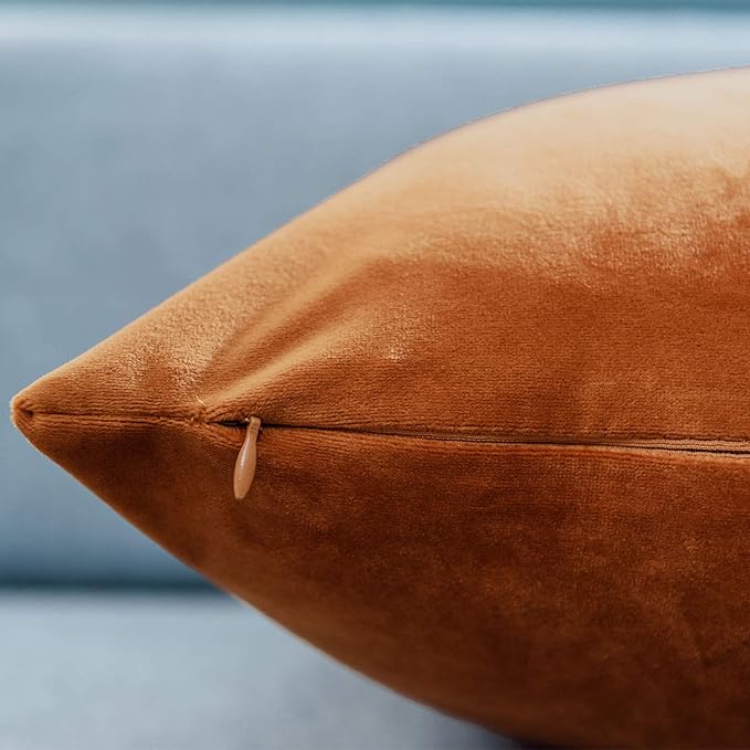 JUSPURBET Velvet Pillow Covers Set of 2 Decorative Throw Pillow Covers for Couch Sofa Bed Soft Cushion Covers Cases with Hidden Zipper for Living Room Home Decor 16x16 inch,Rust