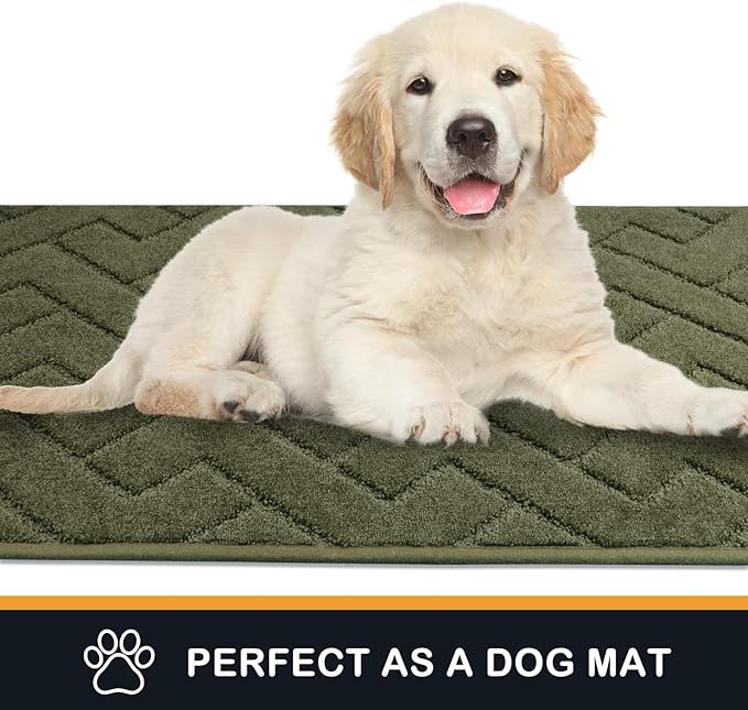 PURRUGS Dirt Trapping Door Mat 32" x 47", Non-Slip Machine Washable Entry Rug, Dog Doormat, Indoor Front Door Mat, Super Absorbent Entryway Rug for Muddy Shoes & Paws, Sage Green