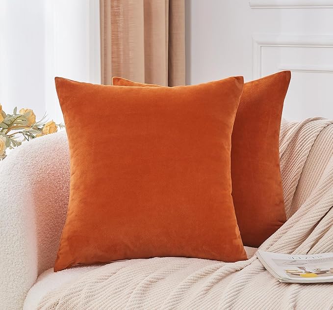 Throw Pillow Covers Burnt Orange Set of 2 20x20 Inch Fall Pillow Covers, Soft Velvet Farmhouse Neutral Decorative Pillowcases for Couch Sofa Bed, Home Boho Decor, Modern Cushion Covers