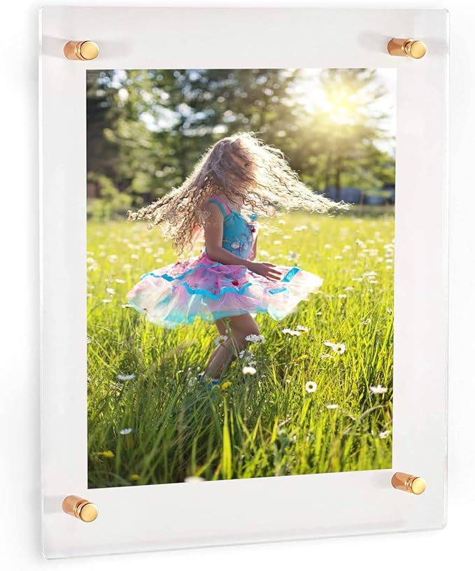Acrylic Floating Frames Gold Standoffs(single) 9" x 12" Clear Acrylic Frames for Wall Mount Floating Picture Frame, Diploma Poster Certificate Hanging Photo Display Degree Prints Artwork Documents
