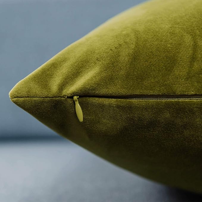 JUSPURBET Throw Pillow Covers Set of 2 Decorative Velvet Pillow Covers for Couch Sofa Bed Soft Cushion Covers Cases with Invisible Zipper for Living Room Home Decor 16x16 inch,Olive Green