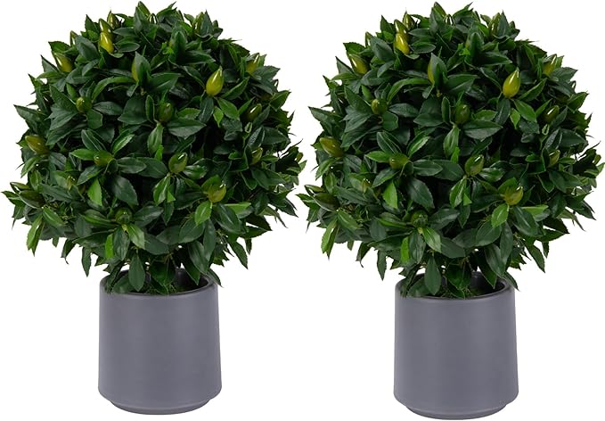Artificial Topiary Ball Evergreen Set of 2 with Fruits, 23.6'' Boxwood Balls Shrubs with Pot, UV Resistant Outdoors Fake Plant for House Porch Decor, Faux Artificial Plants Bush Indoor & Outdoor