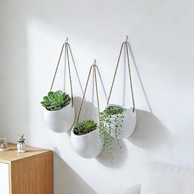 Set of 3 Ceramic Wall Planters with Hooks, Hanging Planter for Greenery and Dried Flowers, Home & Office Wall Decor