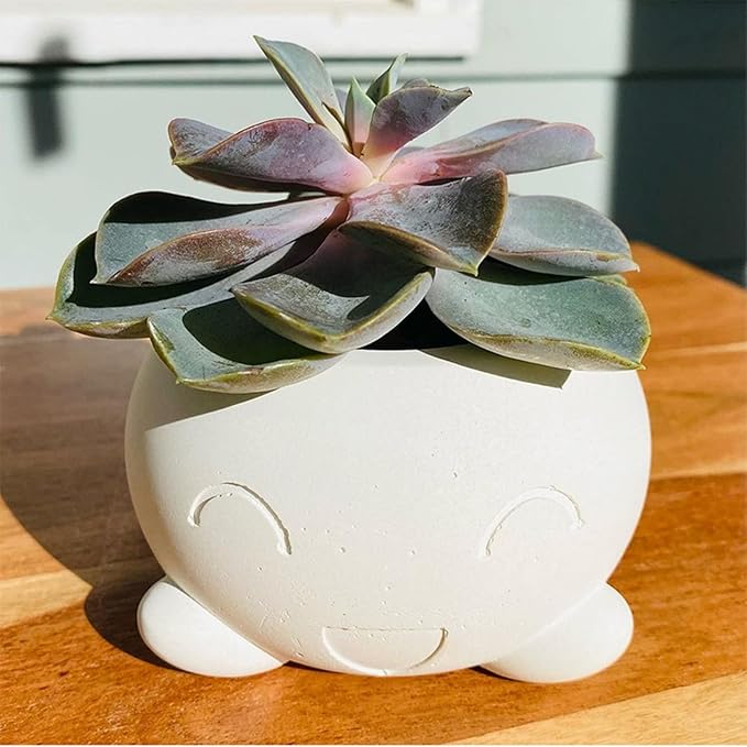 Succulent Potted Flower Pot Silicone Mold DIY Cement Gypsum Epoxy Resin Vase Candlestick Storage Box Mould Home Decor Craft (Smiley)