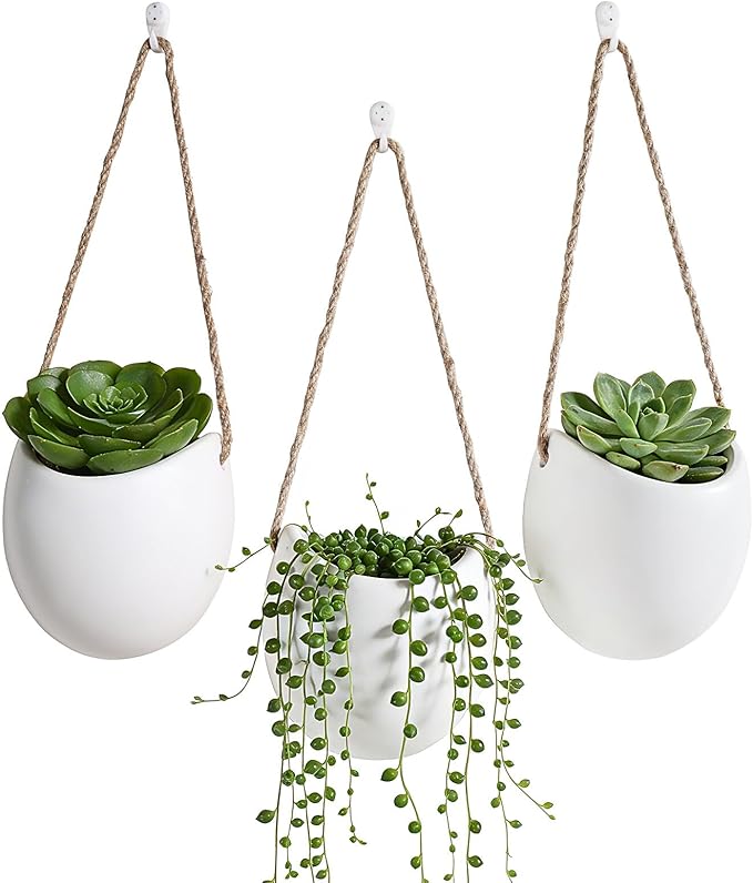 Set of 3 Ceramic Wall Planters with Hooks, Hanging Planter for Greenery and Dried Flowers, Home & Office Wall Decor