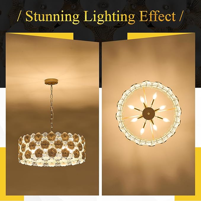 Modern 24" Flower Glass Chandelier Luxury Gold 8 Lights Ceiling Pendant Light Fixture for Living Dining Room Foyer Entryway Kitchen Bedroom, E12