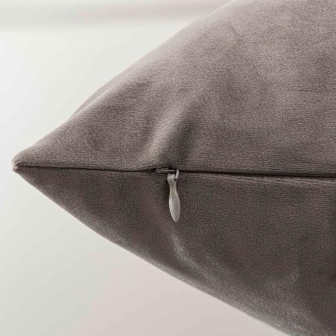 JUSPURBET Couch Pillow Covers Set of 2 Decorative Velvet Throw Pillow Covers Cases for Modern Farmhouse Home Decor Soft Cushion Covers Cases with Hidden Zipper for Sofa Bed,Ash,12x20 inch