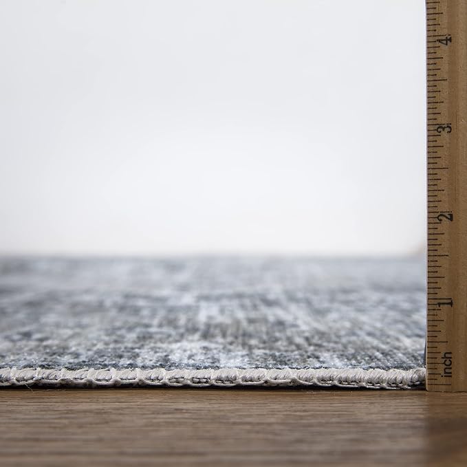 Bloom Rugs Caria Washable Non-Slip 4x6 Rug - Gray/Dark Blue Traditional Area Rug for Living Room, Bedroom, Dining Room, and Kitchen - Exact Size: 4' x 6'