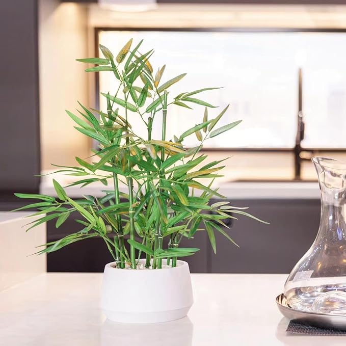 365 Blooming Decor 18 Inch Tall White Potted Faux Bamboo Plant - Luxury Artificial Bamboo in White Pot for Home, Office, Kitchen, Counter Top, Indoor Decor, Money Tree, Lucky Tree