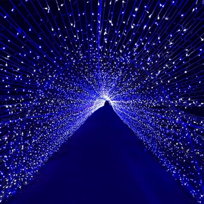 Led String Lights 500LED 165 ft Indoor/Outdoor Fairy String Lights 30V 8 Modes Christmas Lights for Home, Christmas Tree, Wedding Party, Room,Wall Decoration, Indoor&Outdoor(Blue+White)