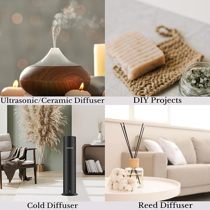 Fierce-Inspired Diffuser Oil - Scentia You Fragrance Oil Perfume Dupe - 120 mL, 4 Fl oz Diﬀusers - A and F Inspired. Natural Essential Scented Oil for Aromatherapy, SPA and Home, Thanksgiving Gift