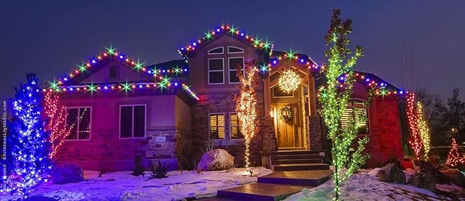 WYZworks 108LEDs, 10ft LED Outside Rope Lights, Waterproof Permanent Outdoor ETL Certified Connectable Clear Tube, Christmas Palm Tree Holiday Decorative Landscape Patio Accent Lighting - Colorful