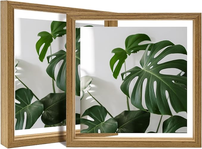 Egofine 8x8 Floating Frames Set of 2, Double Plexiglass Picture Frame, Made of Solid Wood Display Any Size Photo up to 8x8, Wall Mount or Tabletop Standing, Carbonized