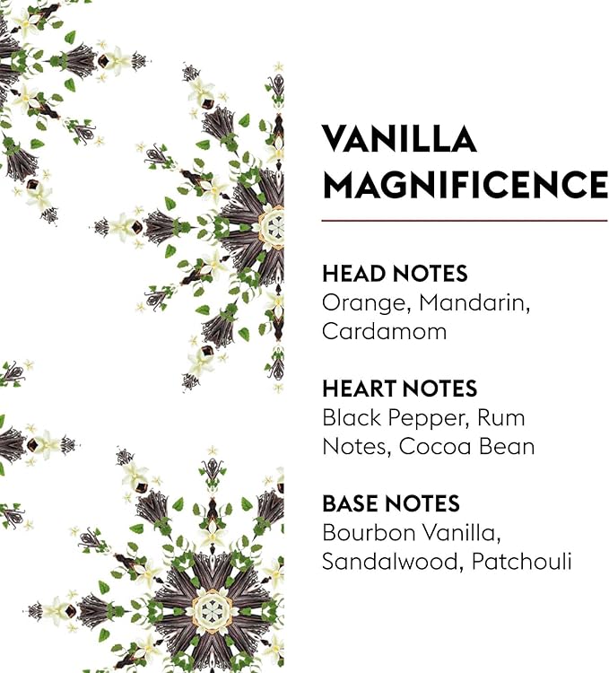MAISON BERGER - Vanilla Magnificence - Air Freshener - Fragrance Refill for Reed Sticks and Ceramic Diffuser - 6.76 Fluid Ounces - 200 Milliliters