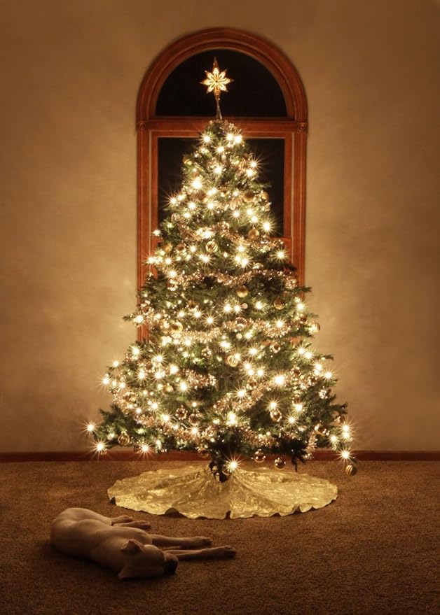 100 LED Slow Twinkle Lights, Soft Twinkling Christmas String Lights,UL Certified 27 Ft, Connect Up to 25 Sets, Indoor & Outdoor Christmas Decorations (Pack of 2)