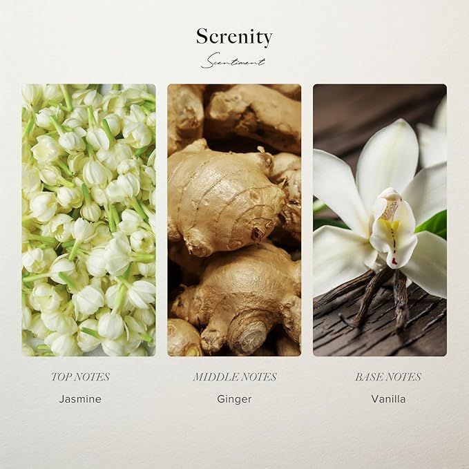 Scentiment Diffuers Oil - Serenity Hotel | Aromatherapy Home Fragrance | Inspired by Shangri-La Hotel® | Luxurious Scent with Notes of Jasmine, Ginger, Vanilla (50 mL)