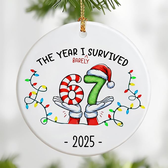 Funny 67 Ornament | 2025 Slang Christmas | Funny Christmas Ornaments 2025 | Funny Teen Grandkid Ornament | Gen Alpha Xmas Gift | 67 Gift