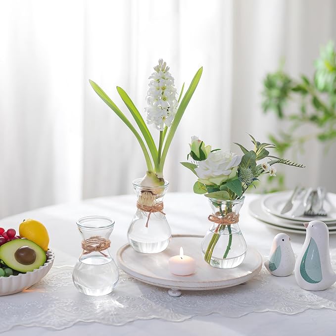 Small Glass Vases for Centerpieces - Hewory 6pcs Clear Mini Hyacinth Avocado Growing Bud Vase Bulk, Cute Tiny Flower Bulb Forcing Plant Containers Set for Wedding Home Living Room Table Decorations