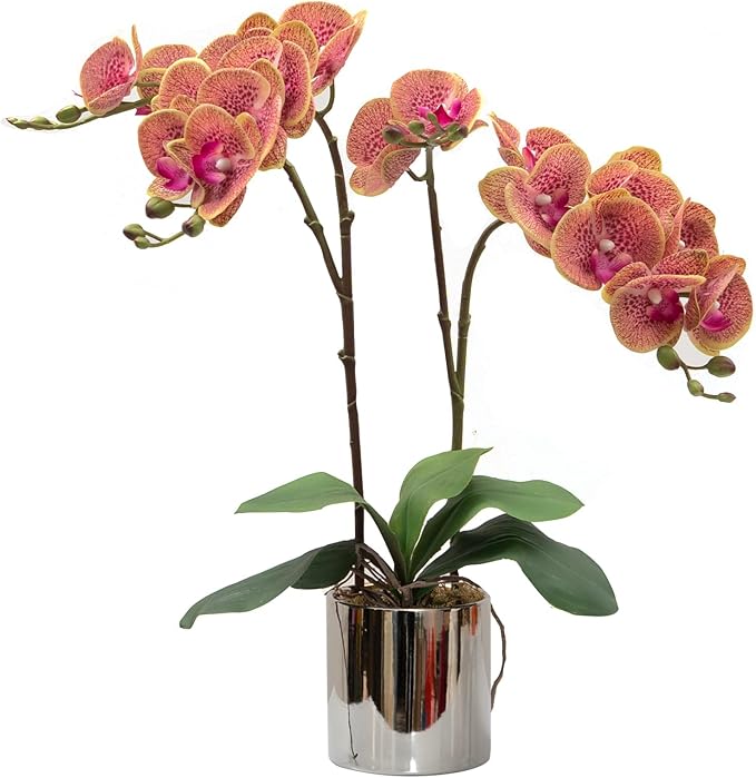 CXGS Artificial Orchid Flower Plant Real Touch Faux Orchids in Ceramic Vase Purple Dapple 19.7'' Fake Phalaenopsis Flower Arrangement Centerpiece Home Indoor Decor