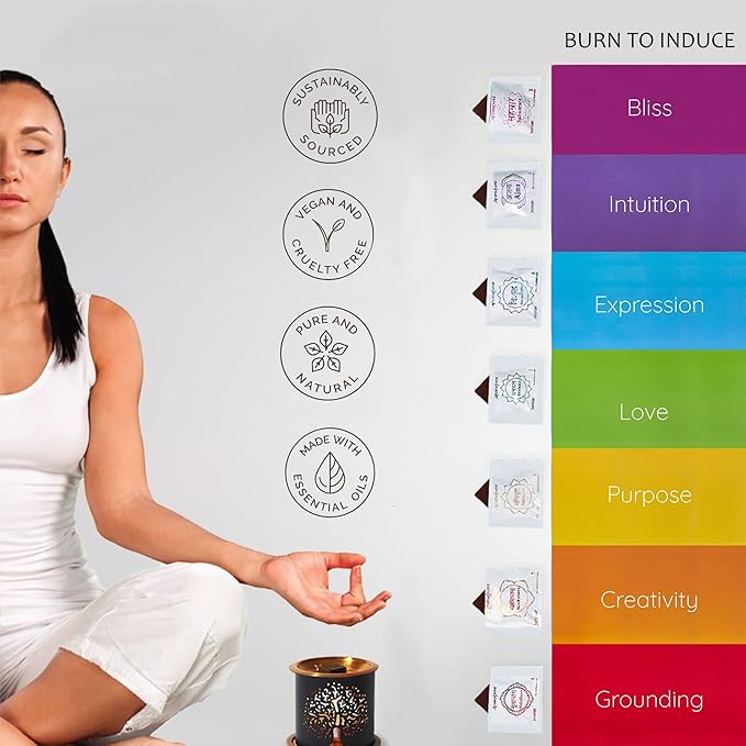 Chakra Incense Brick Variety Box with Tree of Life Burner