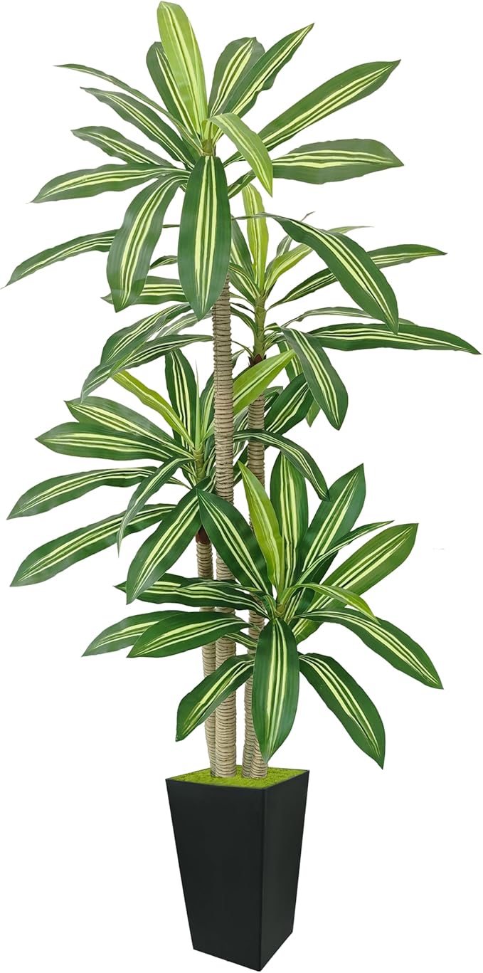 Artificial Dracaena Plant 6ft, Faux Tree with Black Tall Planter, Fake Yucca Silk Plants, Artificial Floor Trees for Home Office Room Decor Housewarming Gift Indoor