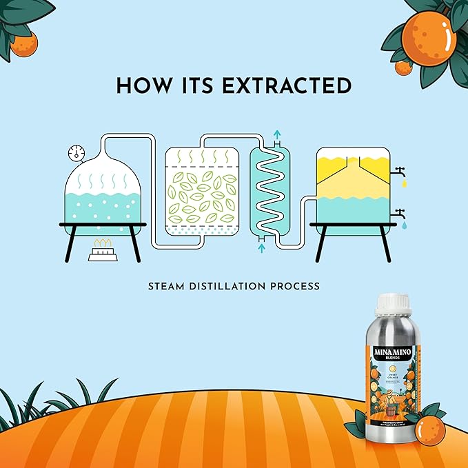 16 fl oz - Sweet Orange Essential Oil (100% Pure & Natural) Large Aluminum Bottle for Aromatherapy, Diffuser, Candle & Soap Making - Minamino Blends