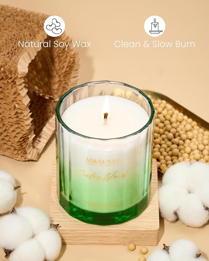 M&SENSE Spring Bergamot Cactus Scented Candle, 10.6oz Natural Soy Wax Non Toxic 60-Hour Slow Burning Highly Scented Candle for Home Decor & Housewarming Gifts