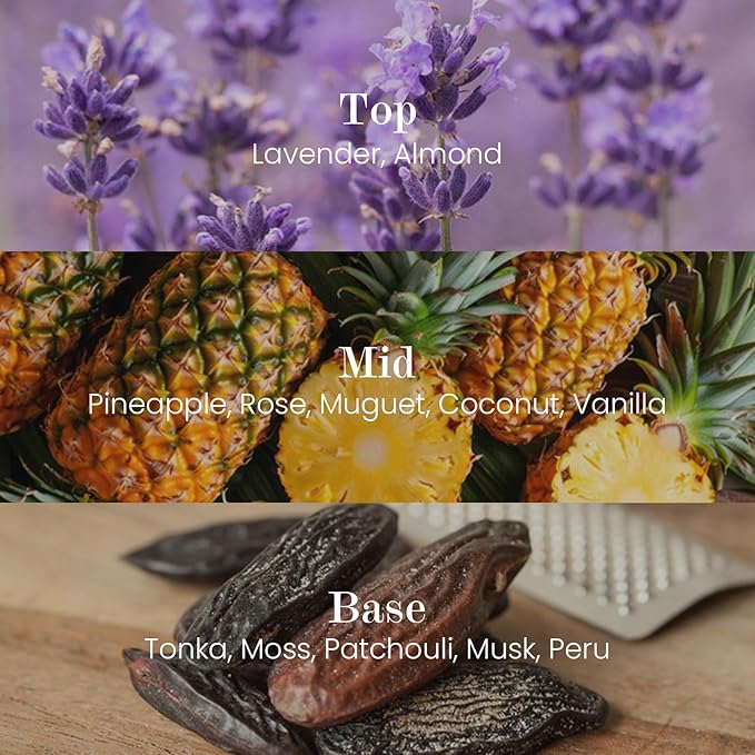 M&SENSE Natural Soy Candle| Lavender Vanilla | 5.3 oz | Minimalist Christmas Scented Candle for Relaxation, Gifting, Home Décor | for Bedroom, Office, Party Small