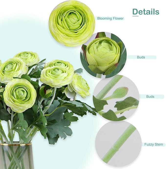 Artificial Ranunculus Flowers with Real Touch Stem, Silk Ranunculus Flowers (Green, 10pcs)