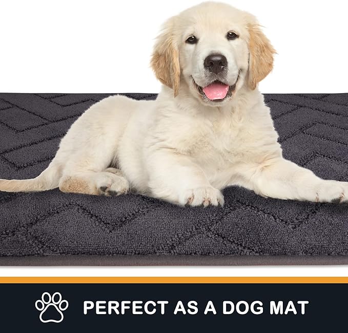PURRUGS Dirt Trapping Door Mat 32" x 47", Non-Slip Machine Washable Entry Rug, Dog Doormat, Indoor Front Door Mat, Super Absorbent Entryway Rug for Muddy Shoes & Paws, Grey