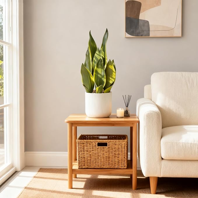 Artificial Realistic Snake Plant 16" with White Ceramic Pot Fake Snake Plants Sansevieria Greenery Faux Snake Plant for Home Office Living Room Housewarming Gifts Indoor Decor