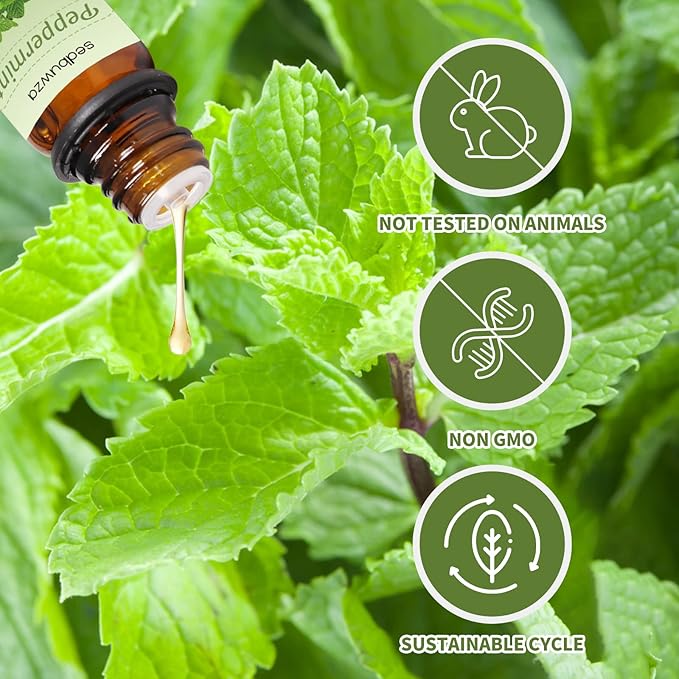 Sedbuwza Peppermint Orange Essential Oil Set, Peppermint Fragrance Oil Orange Scent Oil Set for Diffuser, Aromatherapy, Massage, Soap, Candle Making 2 x 10 ml