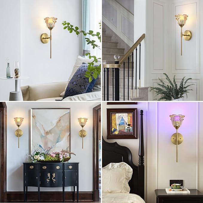 2 Pack Battery Operated Wall Sconce with Amber Glass Shades, Wireless Rechargeable RGB Wall Light with Remote Control, for Bedroom Mirror Living Room, ETL Listed
