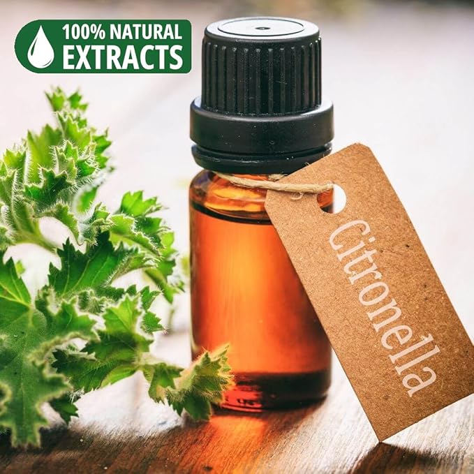 Bless-Citronella 100%-Natural-Handmade-Hand-Dipped-Incense-Sticks Organic-Chemicals-Charcoal-Free Purification-Relaxation-Positivity-Yoga-Meditation Best-Woods-Scent (25 Sticks (1.4 OZ))