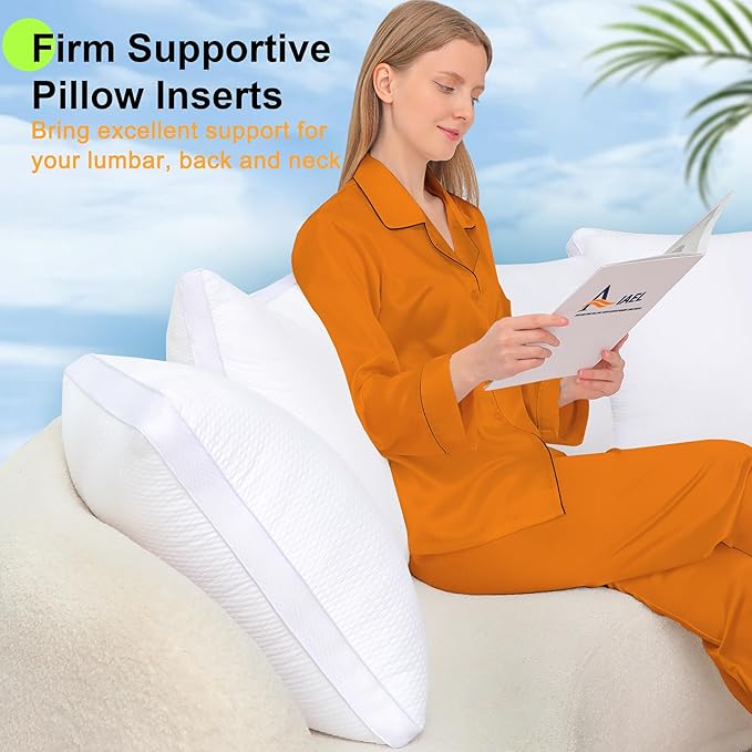 22x22 Pillows Inserts Set of 2, Throw Pillows 22 Inch Premium Down Alternative Pillow Inserts, 22 by 22 Square Premium Cushion with 100% Cotton Cover for Bed, Sofa, Couch