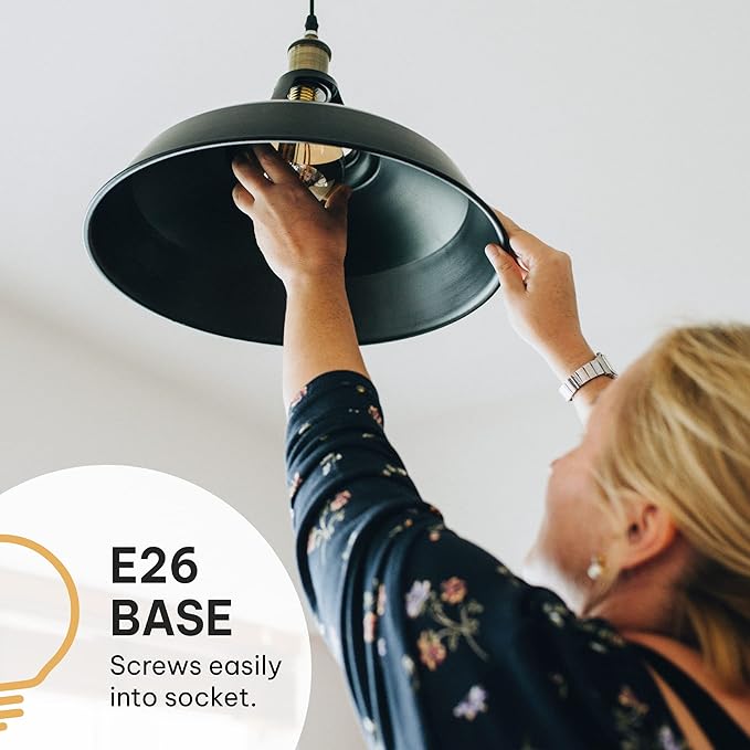 Hudson Bulb Co. Vintage Incandescent Edison Light Bulbs, 60W, E26/E27 Base, 2100K Dimmable Decorative Lights, ST58 Style Warm Glow, Antique Squirrel Filament for Outdoor and Indoor Use - 6 Pack