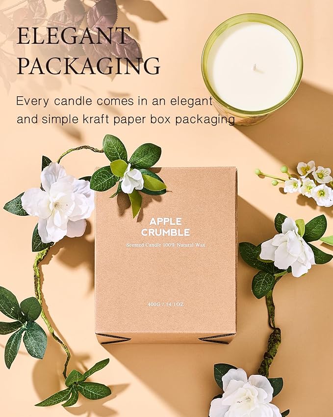 M&SENSE Orange Goji Scented Natural Soy Wax Candle, 14.1oz 60 Hours Long Lasting Slow Burning, Aromatherapy Fall Winter Candle for Stress Relief Home Decor