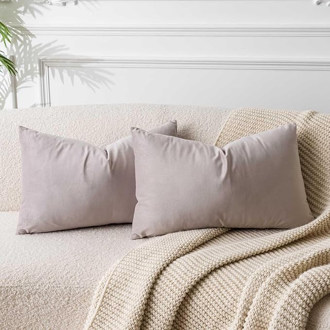 JUSPURBET Velvet Pillow Covers 16x24 Inch Set of 2 Decorative Lumbar Throw Pillow Covers for Couch Sofa Bed Soft Thick Velvet Cushion Cases with Hidden Zipper for Home Decor,Champagne