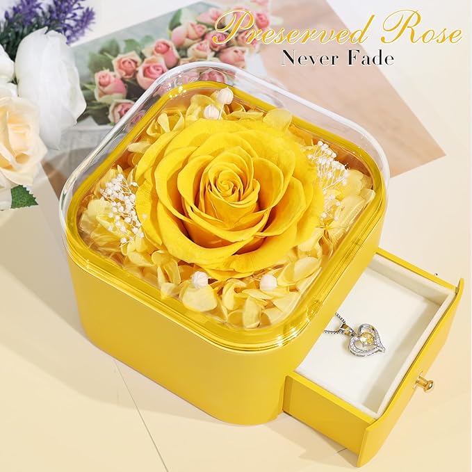 Beferr Birthday Gifts for Women Preserved Real Rose with Necklace Eternal Roses Forever Flowers for Delivery Prime Christmas Day Gifts for Mom Grandma Wife Sister Her from Daughter