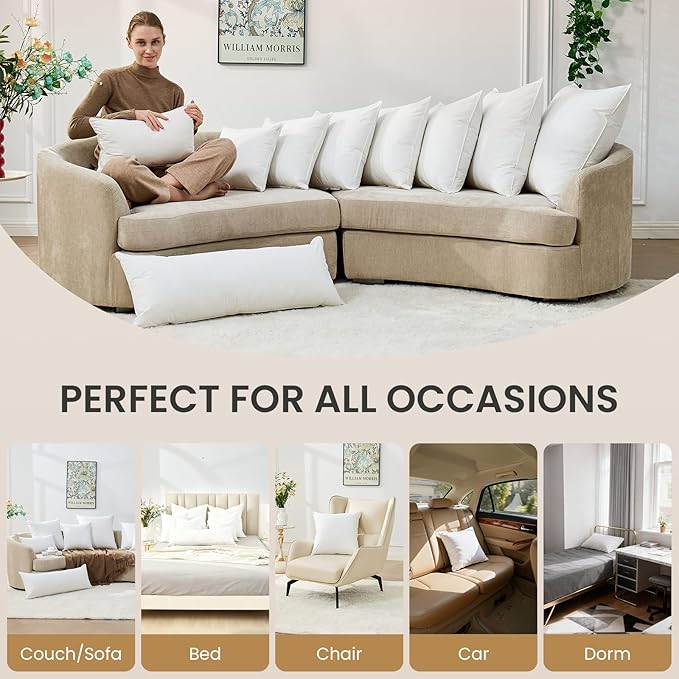 BHZ Euro Throw Pillow Inserts, 22x22 Down Feather Alternative Pillow Inserts Set of 2, Decorative Soft Large Square White Throw Pillows Insert for Couch Bed Dorm Sofa with Cotton Cover