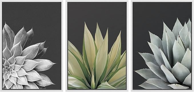 SIGNWIN Framed Canvas Print Wall Art Trio of Echevaria Succulents Floral Plants Photography Modern Art Minimalist Closeup Dramatic Black and White for Living Room, Bedroom, Office - 24"x36"x3 White