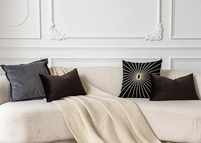 JUSPURBET Coffee Lumbar Velvet Throw Pillow Cover 16x24 inch Set of 2 Decorative Soft Cushion Cases for Couch Sofa Bed