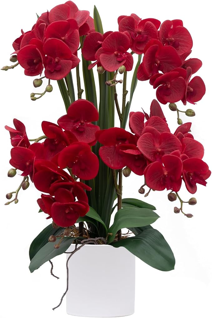 CXGS Artificial Orchid Flower Plants Real Touch Faux Orchids in Ceramic Vase 20.9'' Red Phalaenopsis Orchid Fake Flower Arrangement Home Indoor Decor