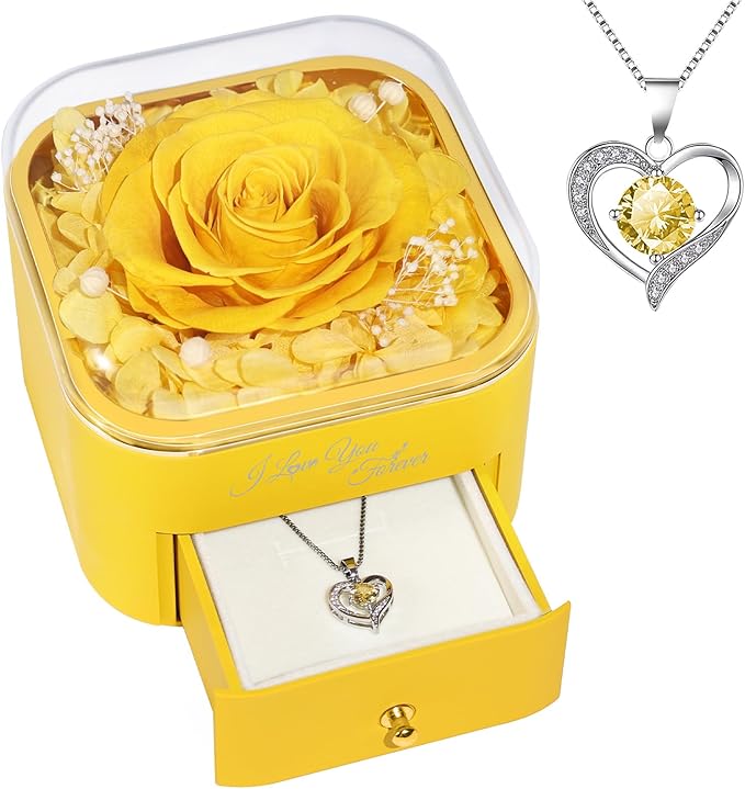 Beferr Birthday Gifts for Women Preserved Real Rose with Necklace Eternal Roses Forever Flowers for Delivery Prime Christmas Day Gifts for Mom Grandma Wife Sister Her from Daughter