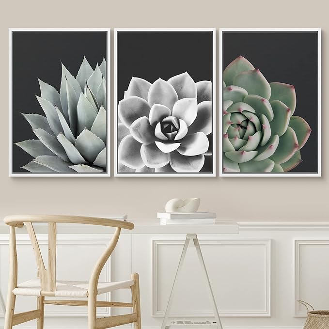 SIGNWIN Framed Wall Art Print Set Desert Rose Echeveria Succulent Set Nature Plants Photography Modern Art Closeup Relax/Calm Dark Black and White for Living Room, Bedroom, Office - 16"x24"x3 White