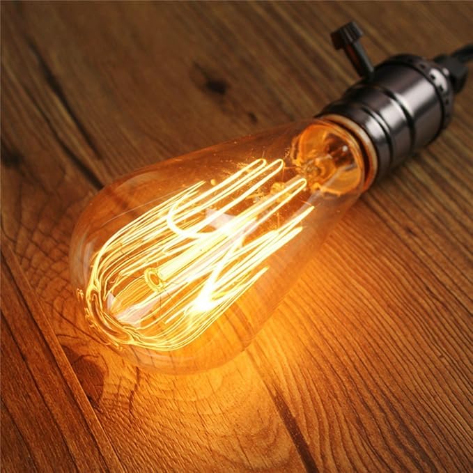 GOENDR E26 40W Edison Bulbs, ST64 Vintage Incandescent Light Bulbs, 2700K Warm Dimmable, Squirrel Cage Filament Bulb for Table Lamp Home Antique Decorative, 4 Pack